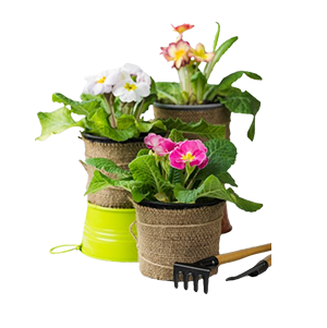  ดอกไม้พืชสวน   อุปกรณ์ทำสวน